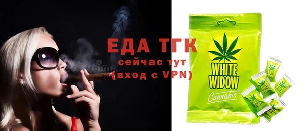 амф Верхний Тагил