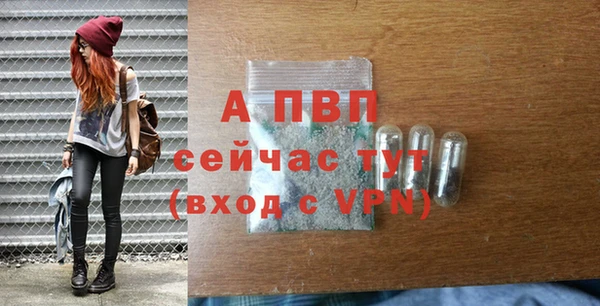 амф Верхний Тагил