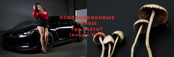 амф Верхний Тагил