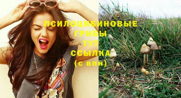 соль курить ск Верея