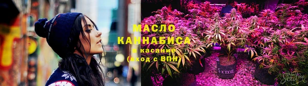 амф Верхний Тагил