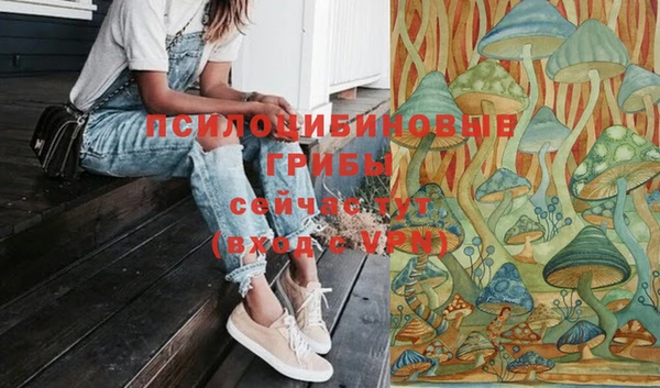 соль курить ск Верея