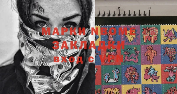 амф Верхний Тагил
